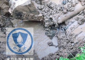武昌区水管漏水检测公司5